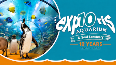 Image for: 10 Year Weekend Special